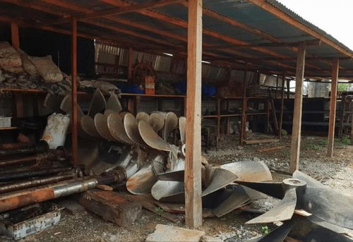 從日用百貨到非洲新機遇 探索多元化發(fā)展路徑